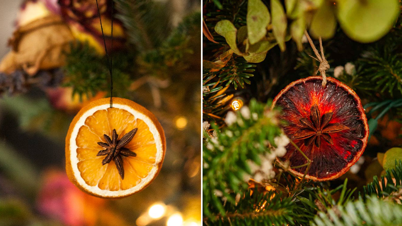 Dried Citrus Christmas Ornament