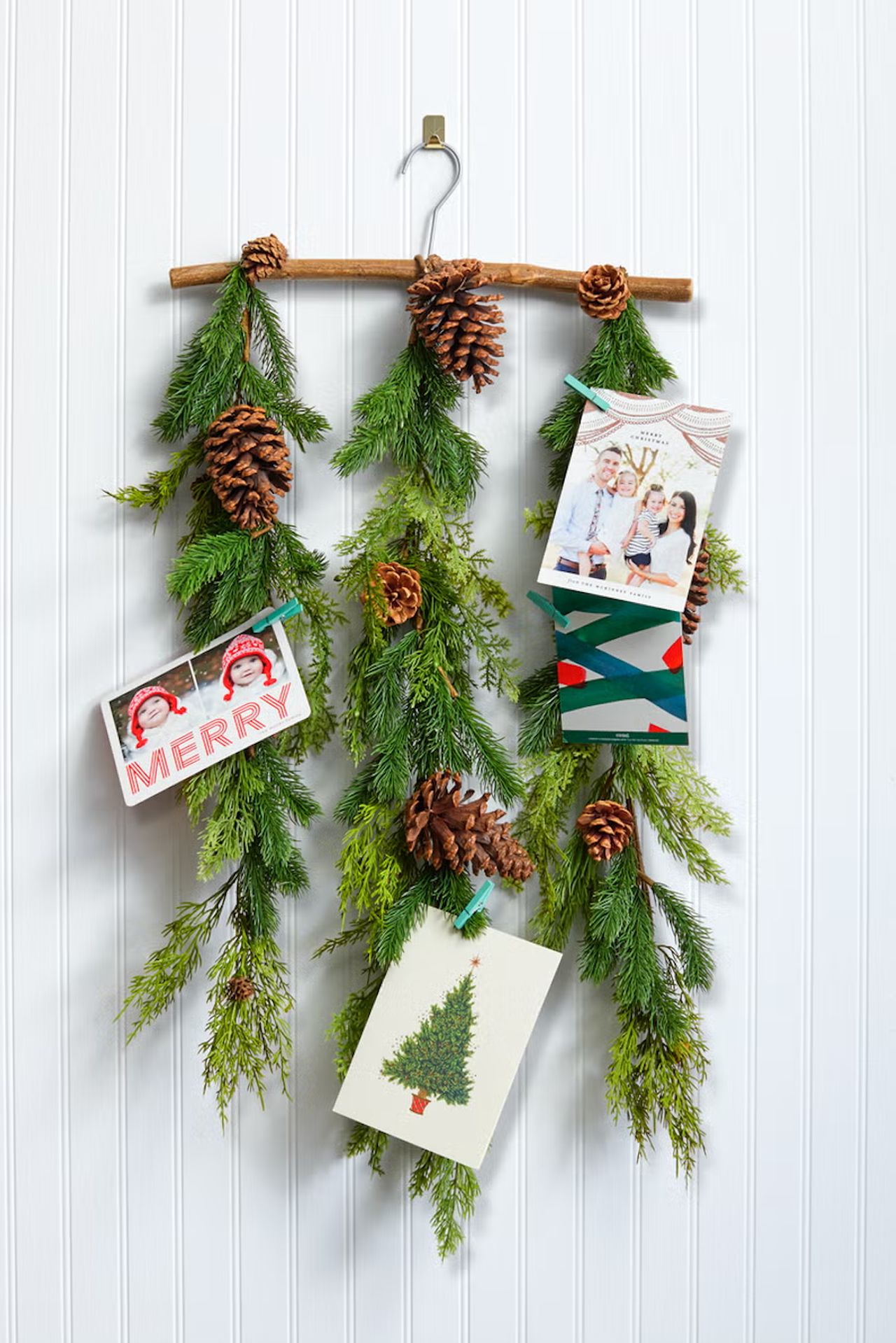 Evergreen Card Holder