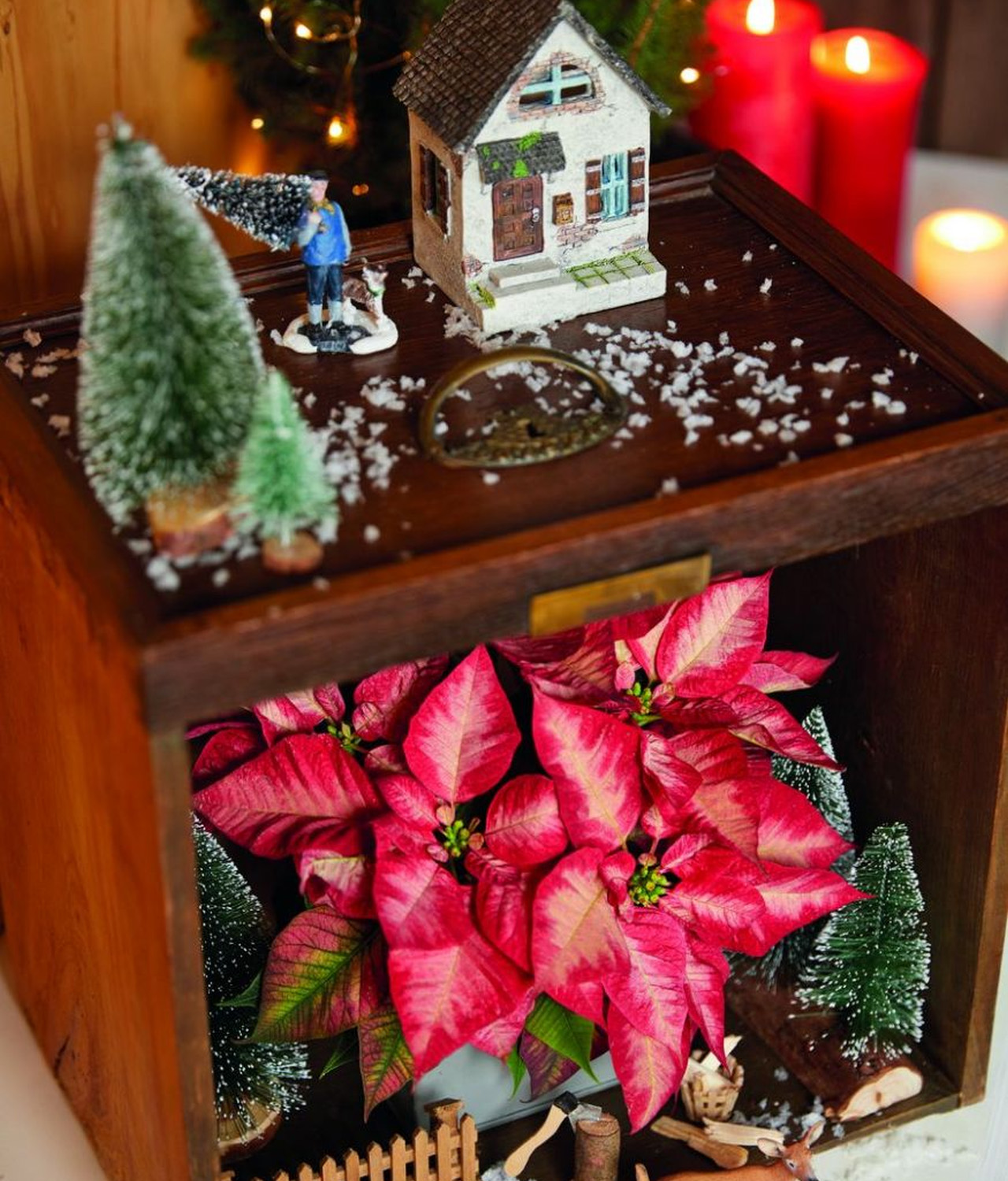 Mini dreamy winter wonderland