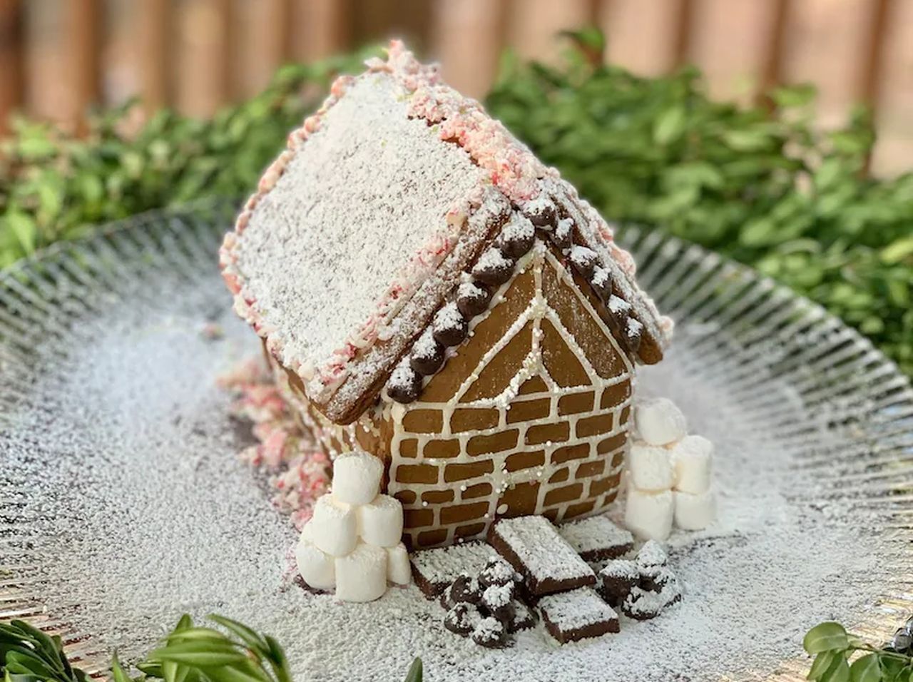 Organic gingerbread house kit