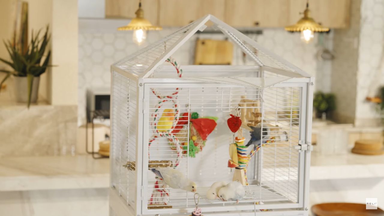 Reli Birddy_World's First Smart Cage for Bird Care