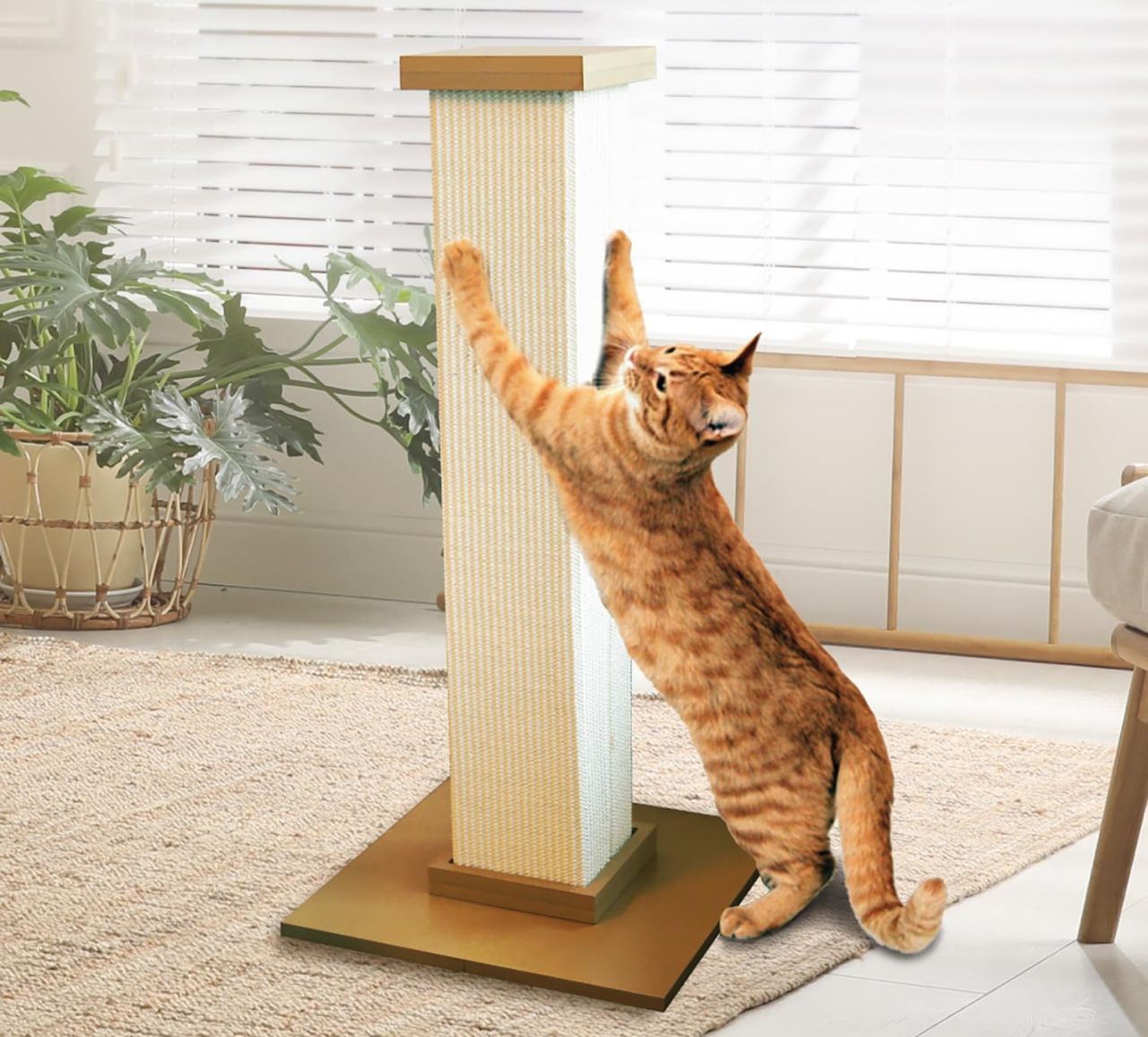 SmartCat Ultimate Scratching Post