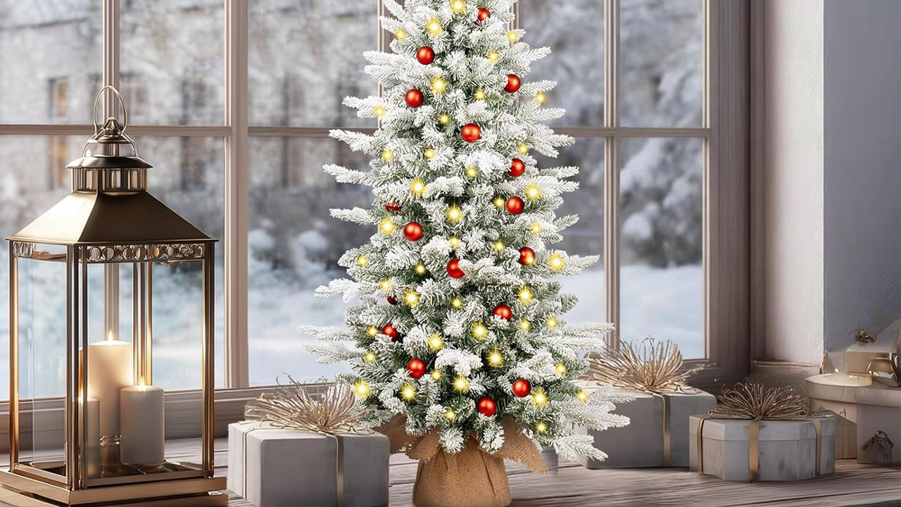 Snow-Flocked Arctic fir Christmas Tree