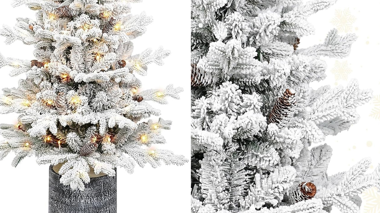 Snow Frosted Spruce Christmas Tree