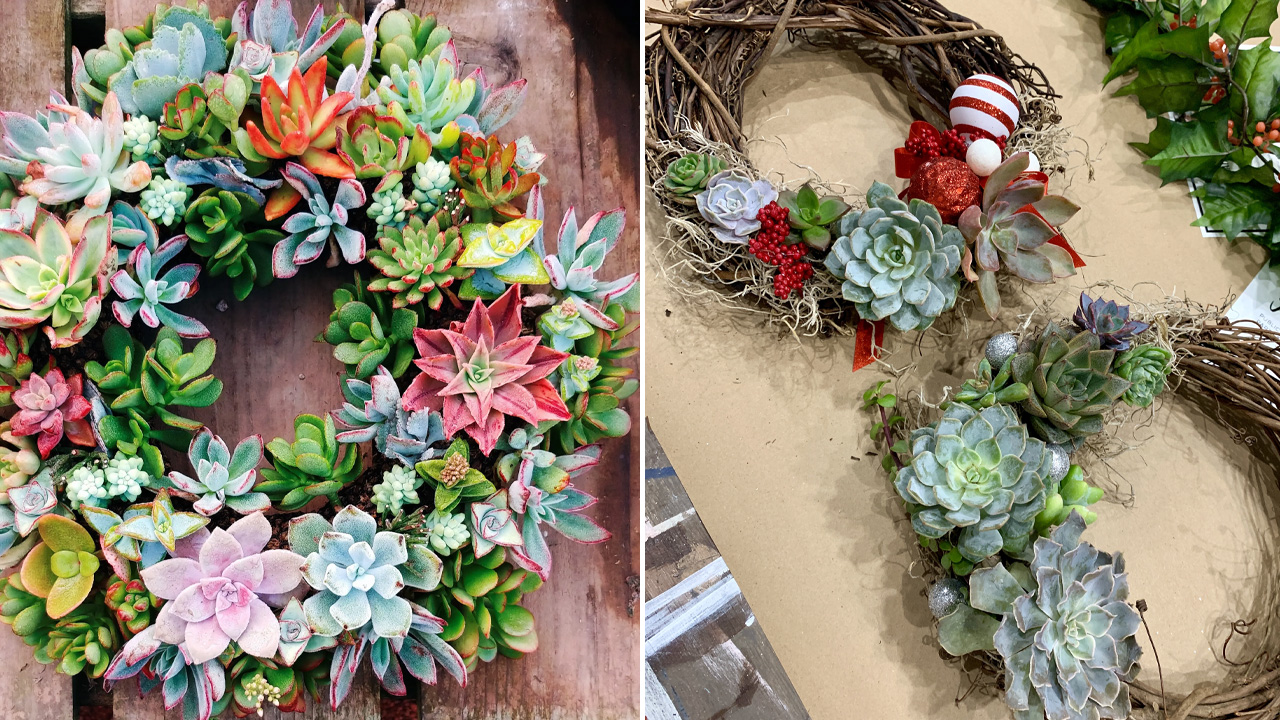 Succulent Wreath