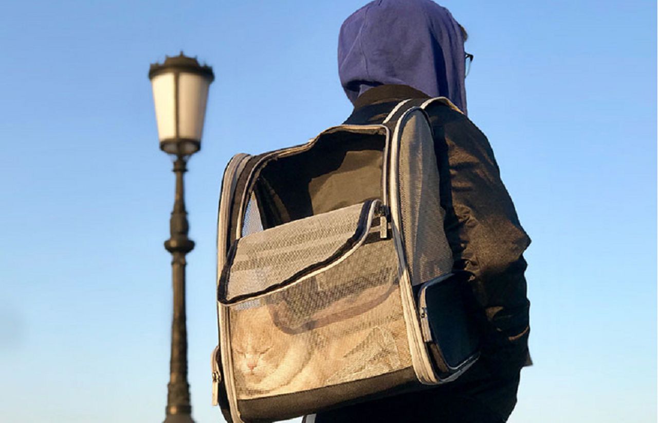 Texsens Backpack Pet Carrier