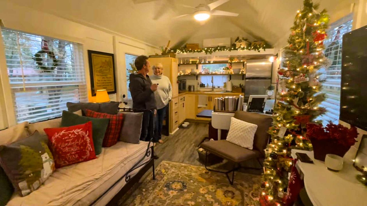 Tiny House Christmas Decoration Ideas - tree