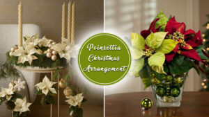 15+ Unique Poinsettia Christmas Arrangement Ideas to Consider for Your Home Unique Poinsettia Christmas Arrangement Ideas to Consider for Your Home