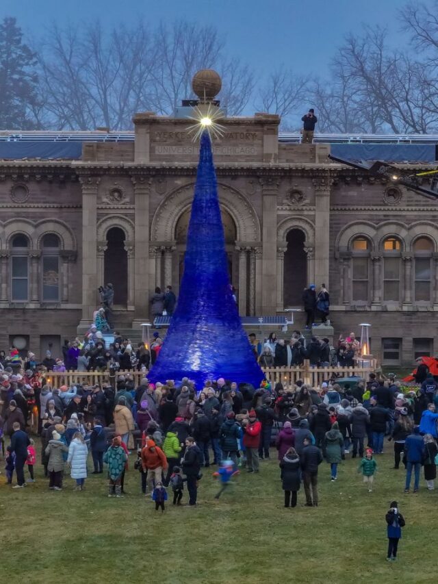 5 Most Unique Christmas Trees From Around The World