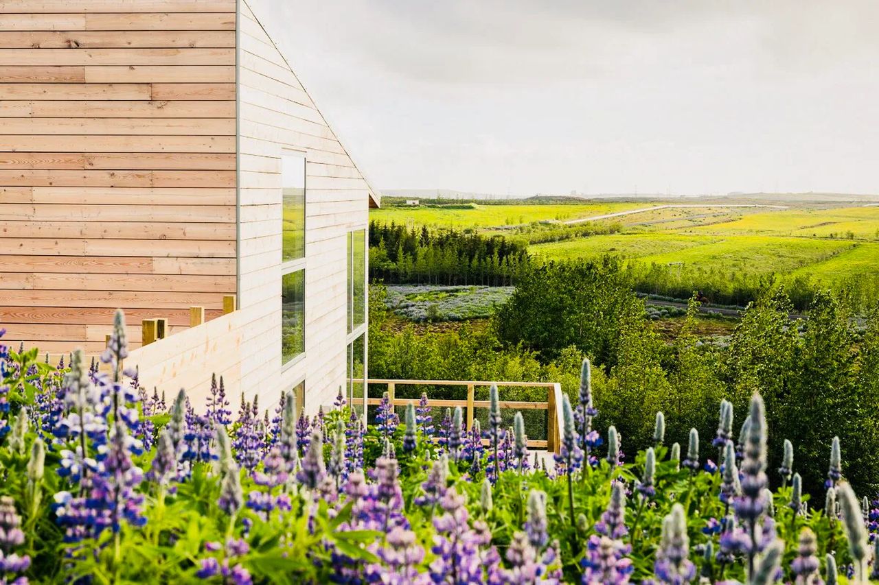 Best Airbnbs to Spot Northern Lights - Entire Villa in Mosfellsbær, Iceland