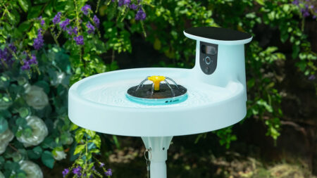 Birdfy Bath Pro (1)