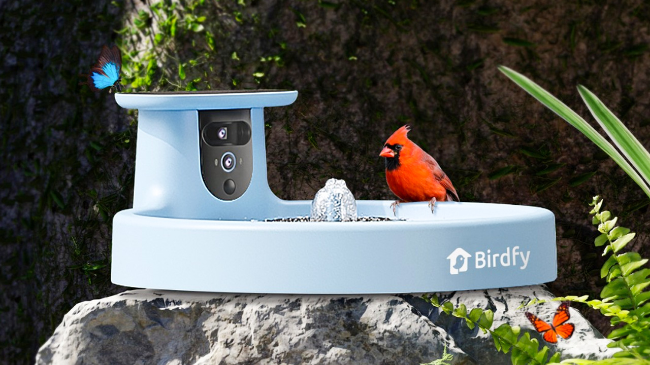 Birdfy Bath Pro (2)