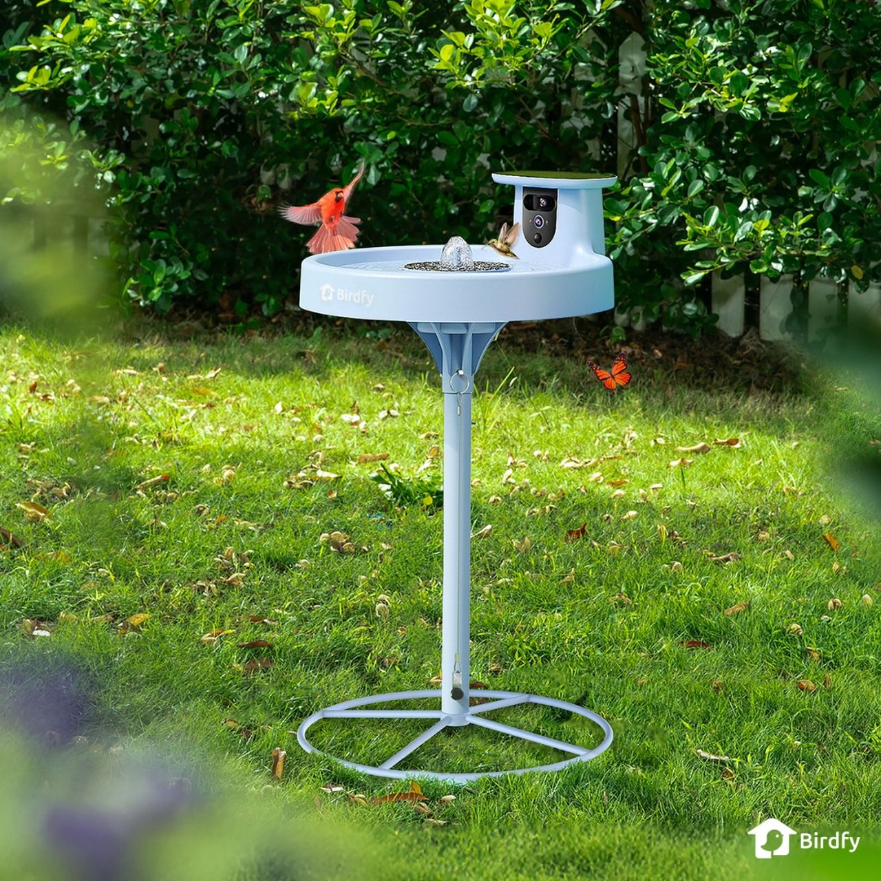 Birdfy Bath Pro (3)