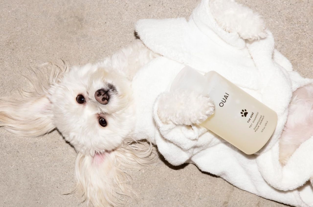 OUAI Fur Bébé Pet Shampoo