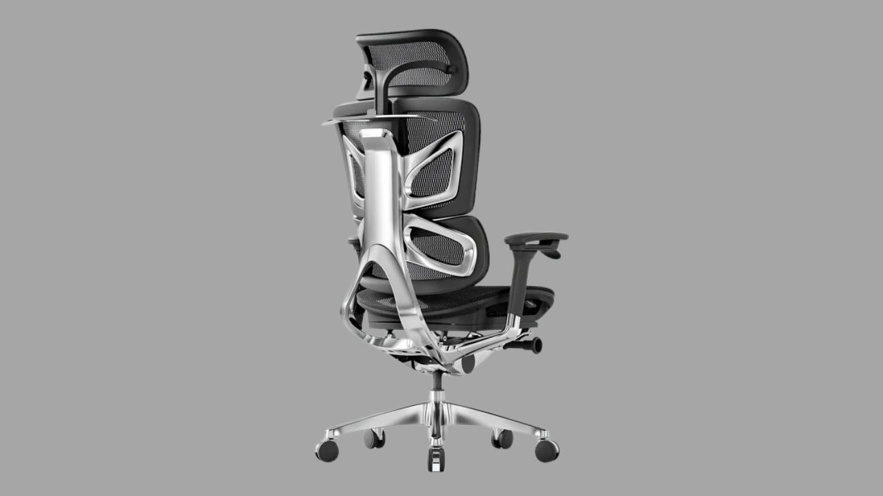 OdinLake Ergo Butterfly 753 chair