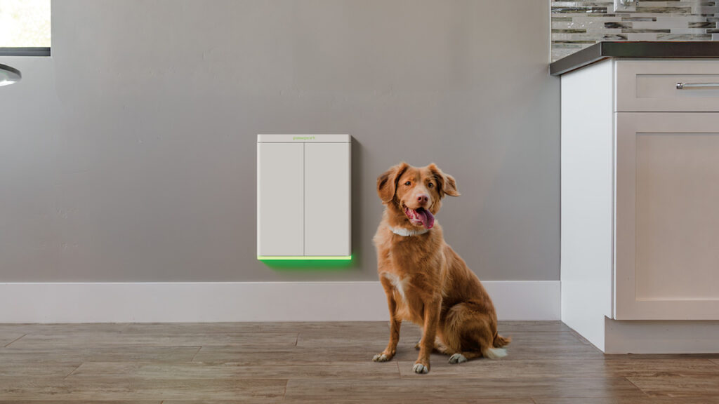 Pawport smart pet door will ship in early 2025