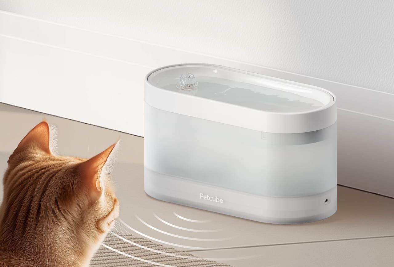 Petcube-pet water fountain- 3