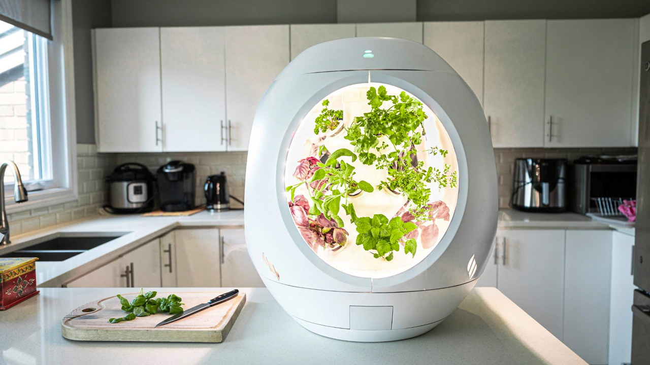 Plantaform-Smart-Indoor-Garden-