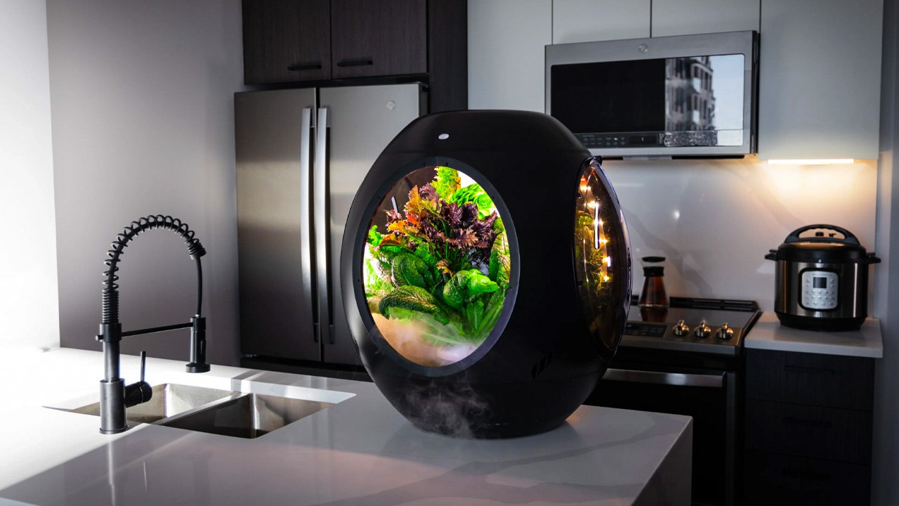 Plantaform Smart Indoor Garden (6)