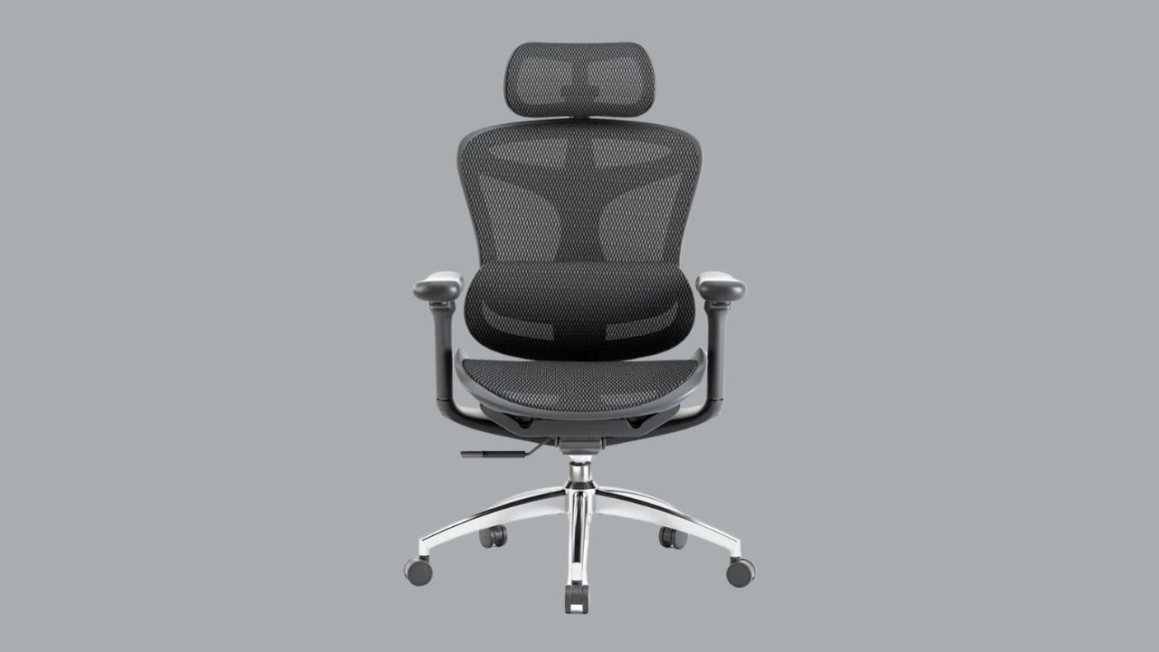 Sihoo Doro C300 chair