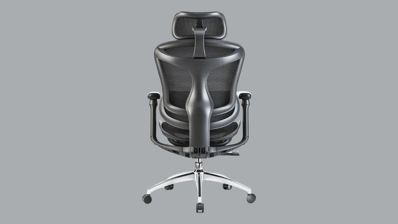 Sihoo Doro C300 chair