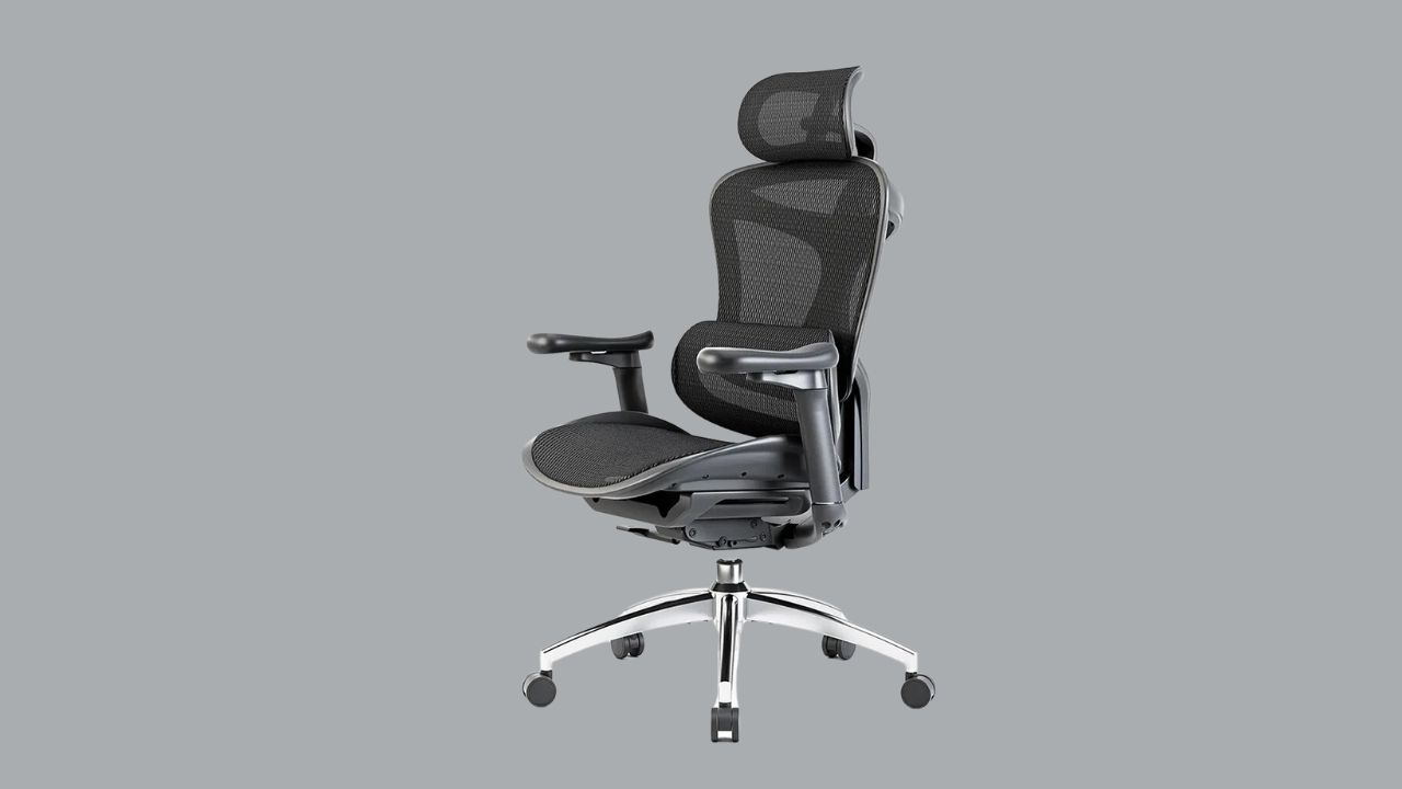 Sihoo Doro C300 chair