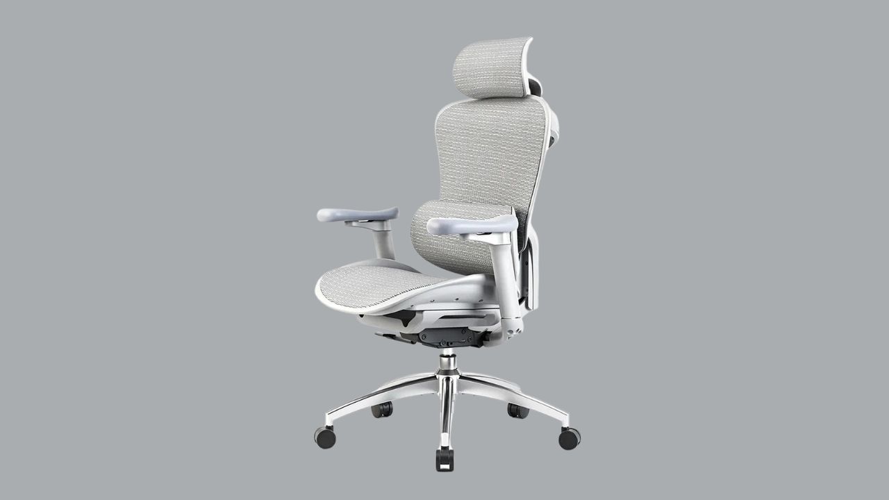 Sihoo Doro C300 chair