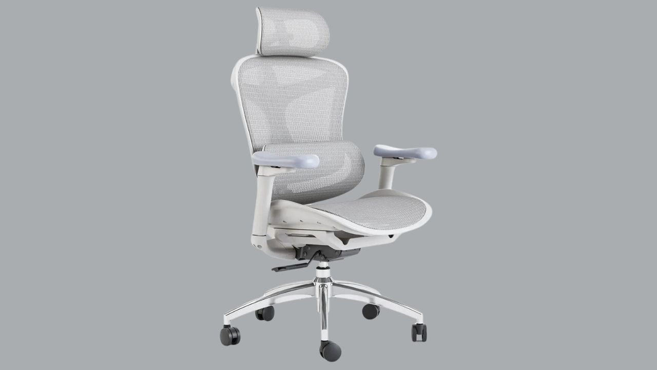 Sihoo Doro C300 chair