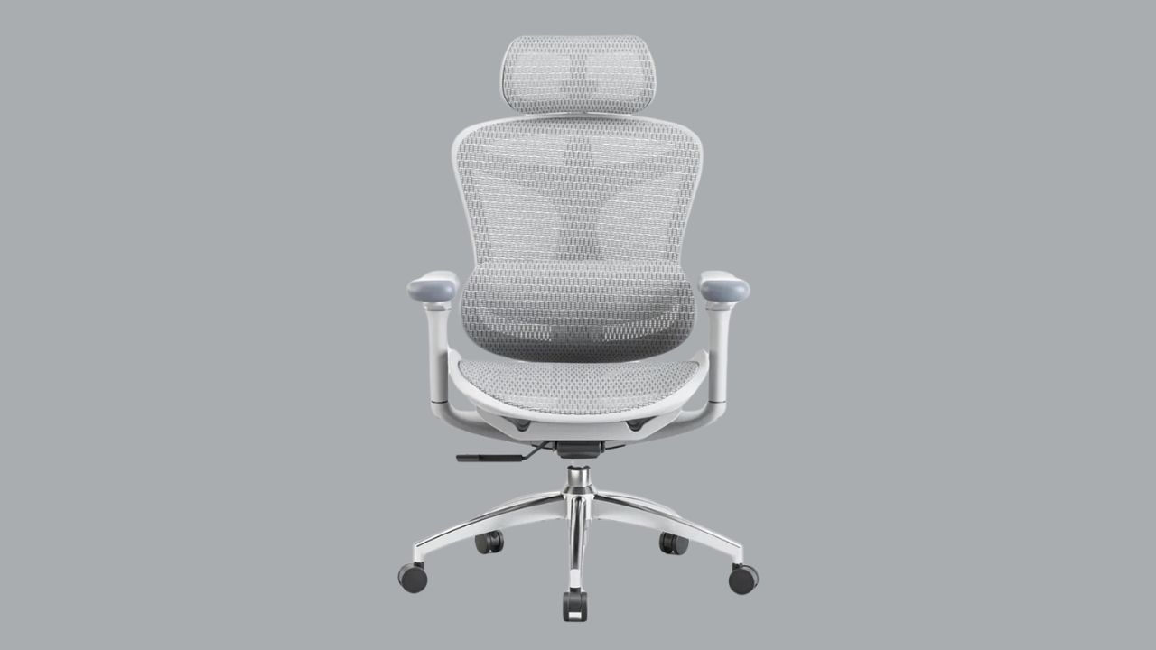 Sihoo Doro C300 chair