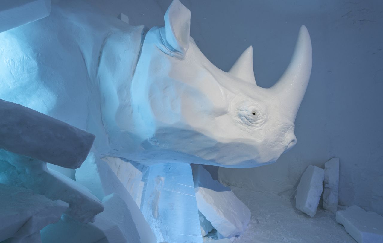 Swedish Icehotel- Whoops Wrong Room