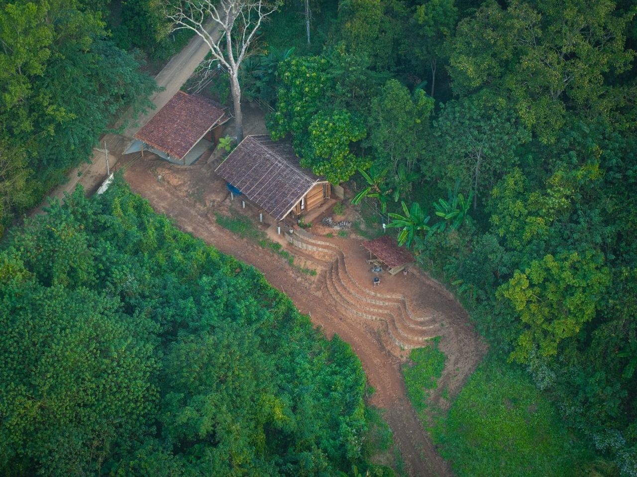 Yangnar Studio Builds Vacation Rental in Thailand, Featuring Roof Made of Gurjan Leaves