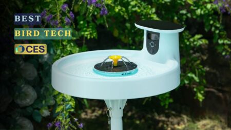 4 Best Products for Bird Lovers at CES 2025