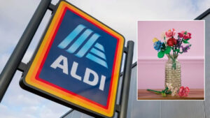 Aldi Launches Buildable Flowers for Valentine's Day