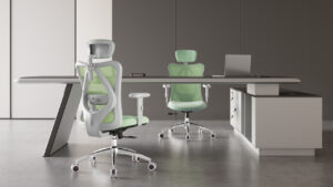 SIHOO M18 Ergonomic Office Chair (1)