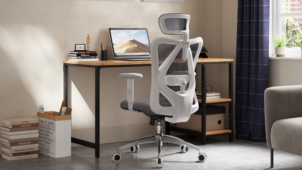 SIHOO M18 Ergonomic Office Chair (7)