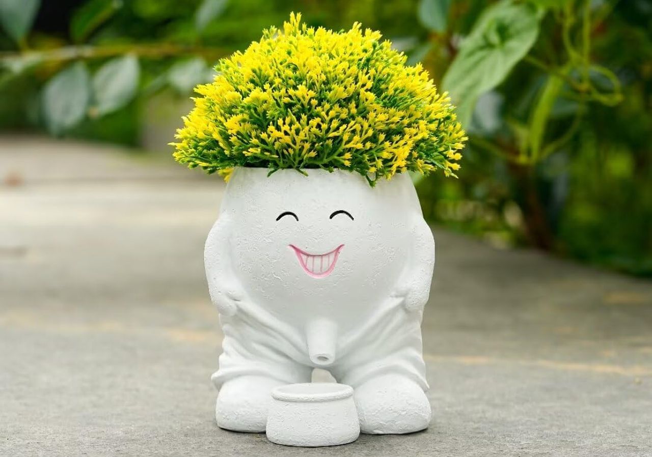 Happy Face Planter