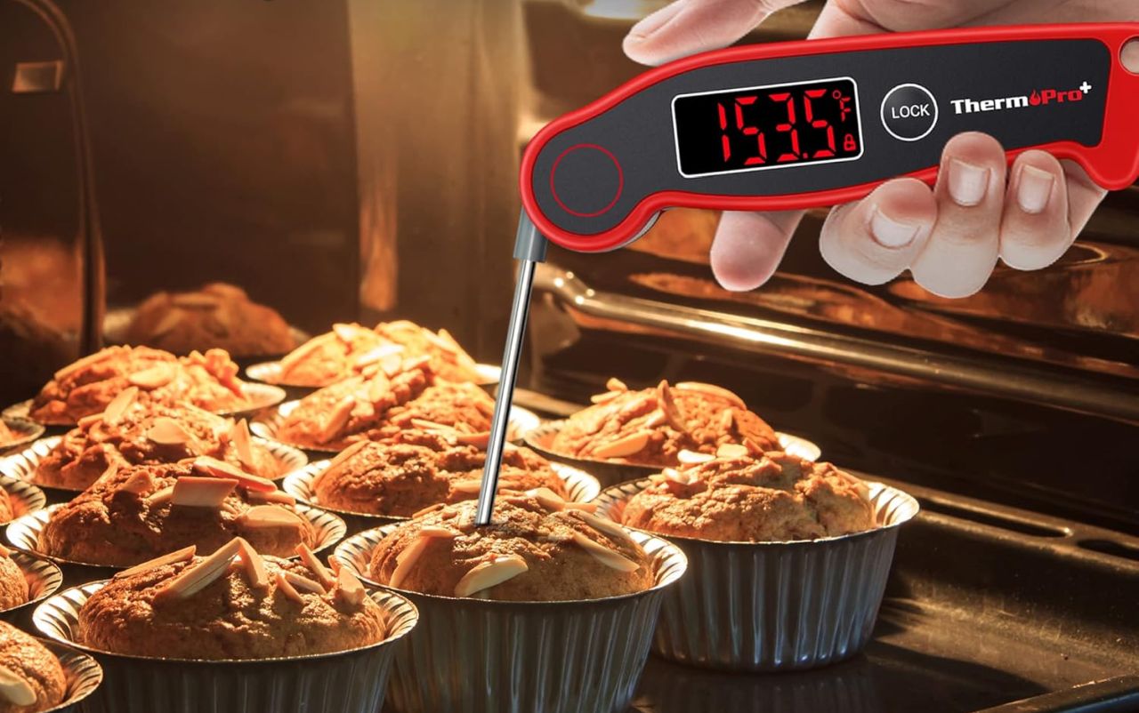 ThermoPro TP19 Waterproof Digital Meat Thermometer