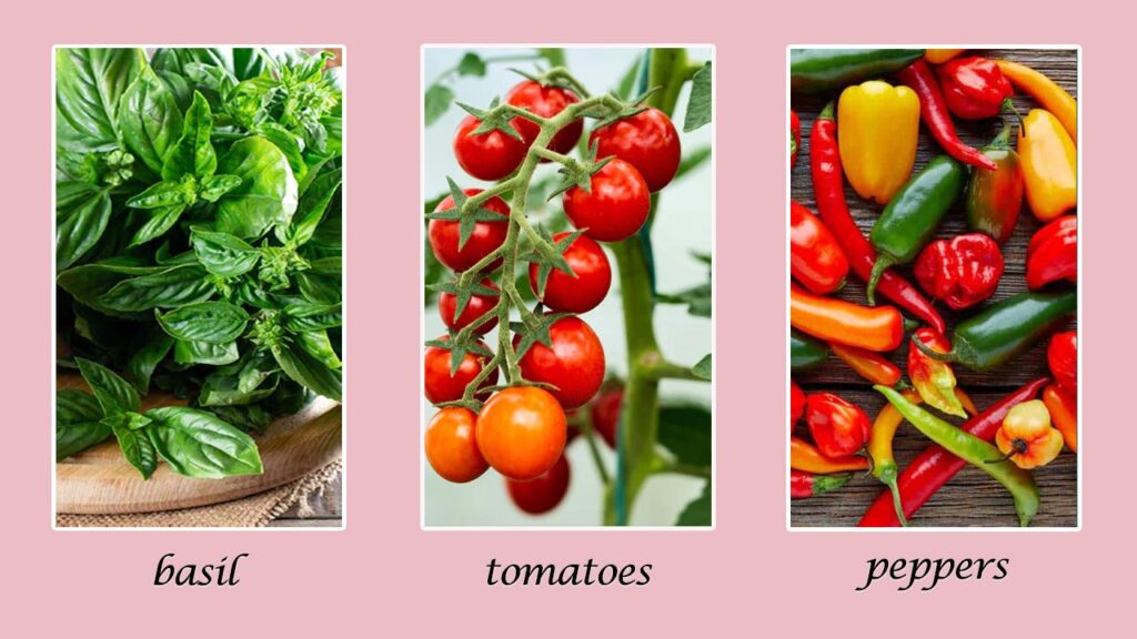 What to plant in March