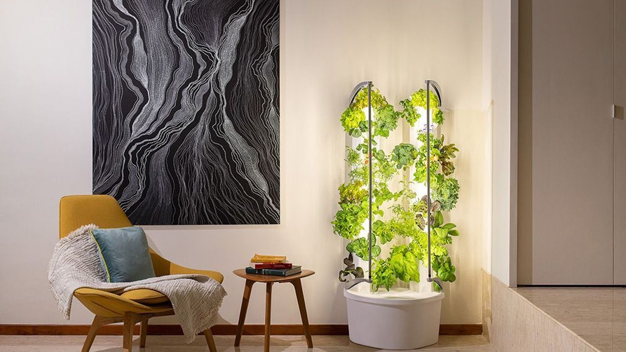 Aerospring Pinch Hydroponic Garden - Indoor wall unit