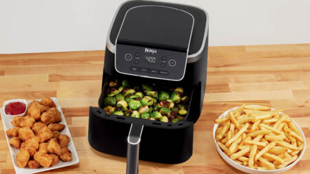 Amazon- Ninja Air Fryer Pro 4-in-1