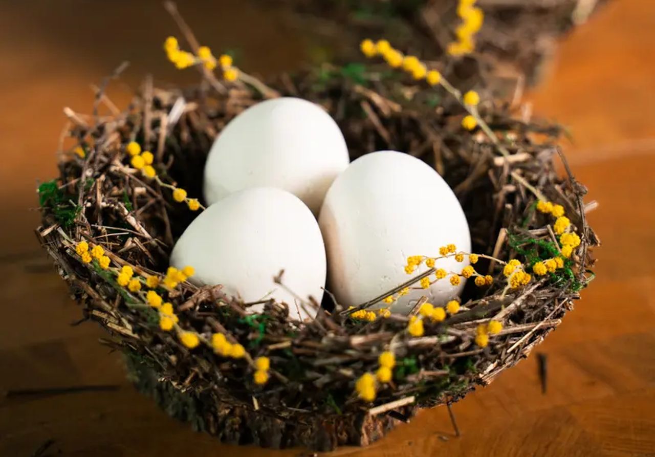 Easter Egg Bird Nest