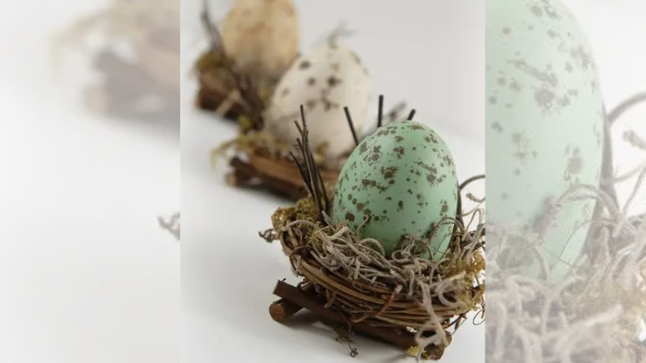 Easter eggs in Bird Nest