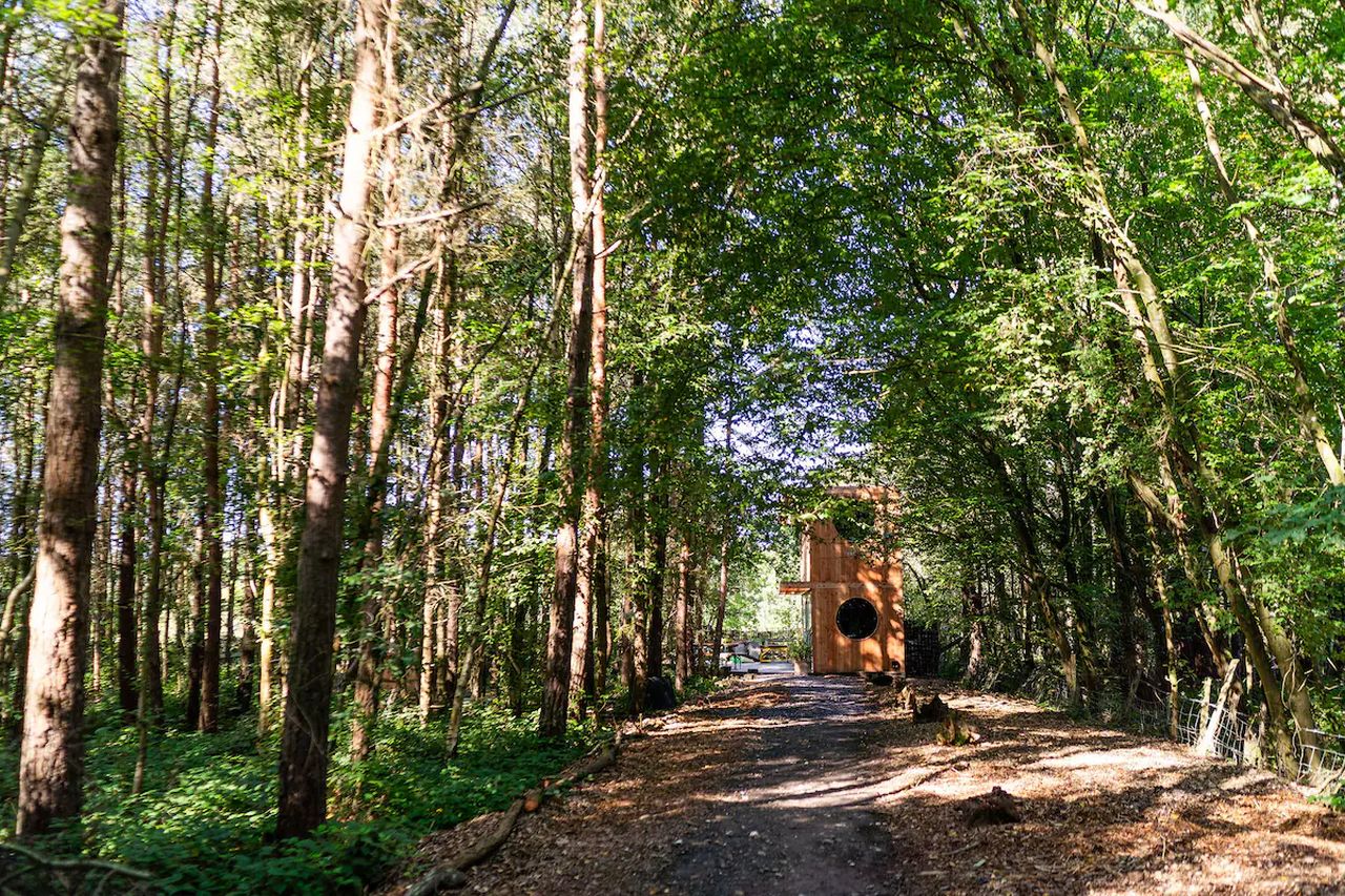 Evergreen Cabin- 1