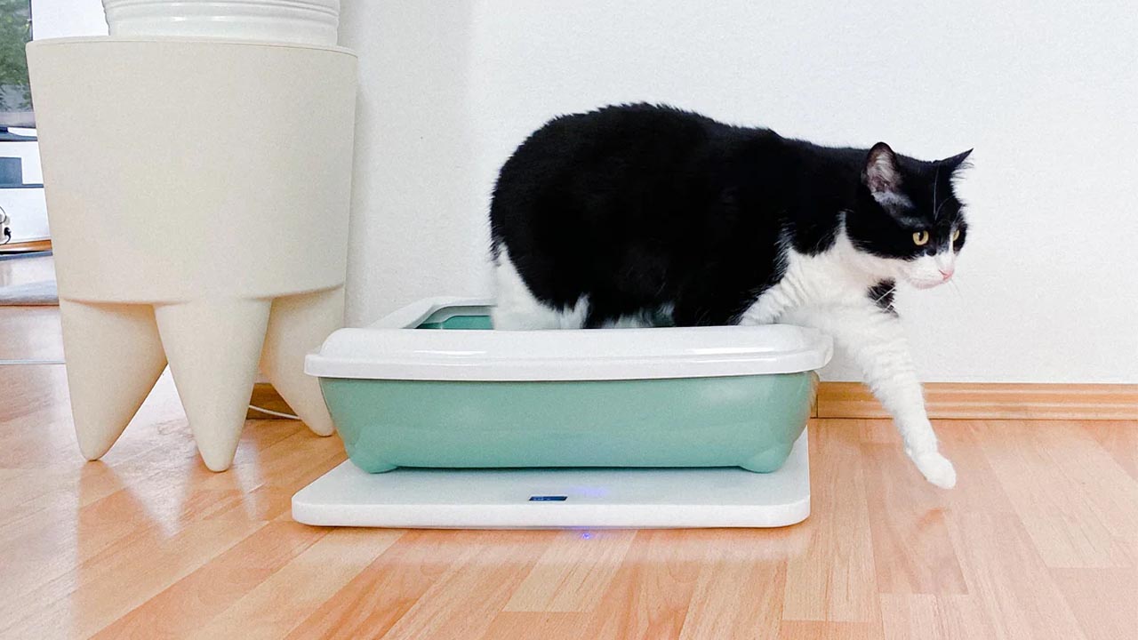 Feniska Base can Turn Your Dumb Litter Box Smart