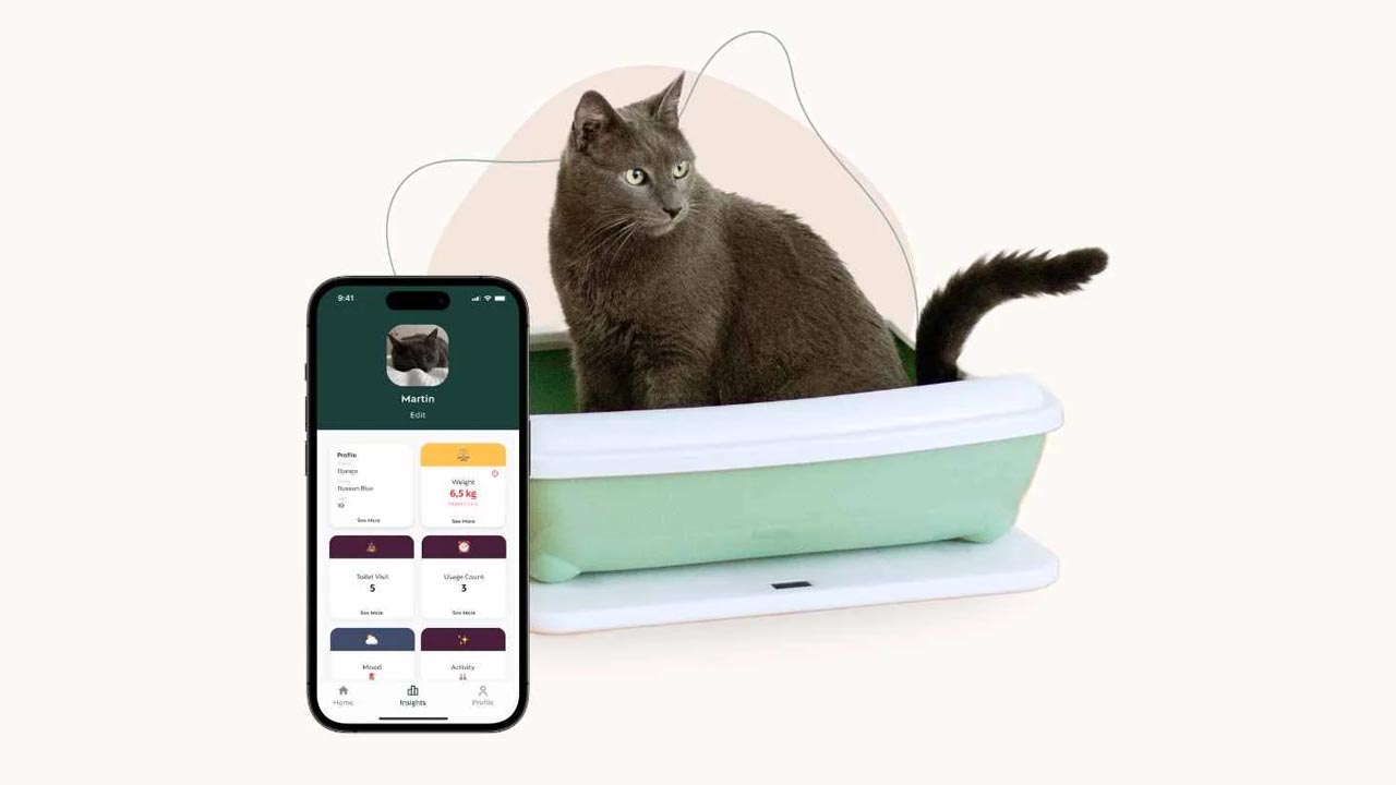 Feniska Base can Turn Your Dumb Litter Box Smart