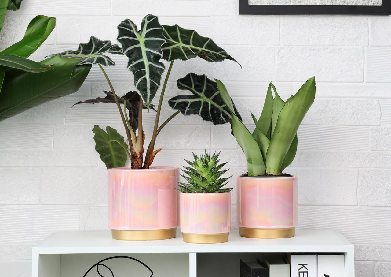 Gepege Pink Indoor Plant Pots for Plants