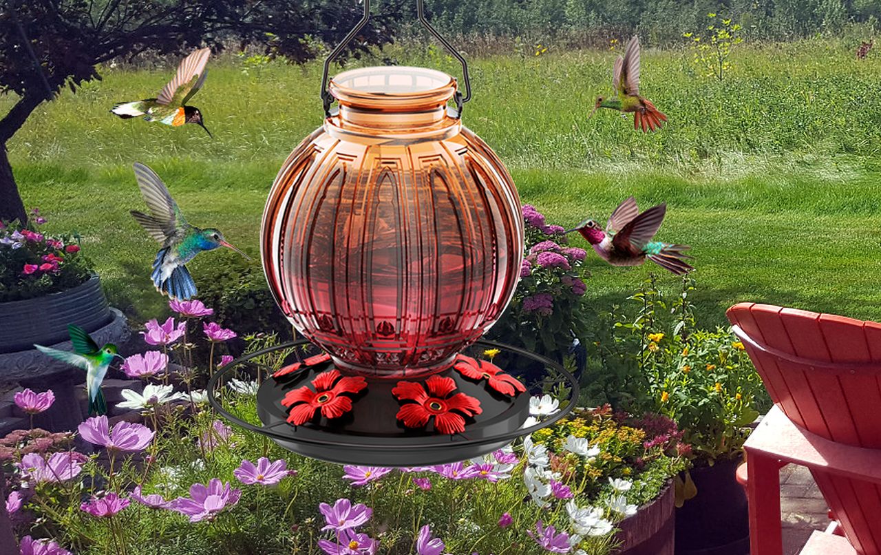 Glass Hummingbird Feeder