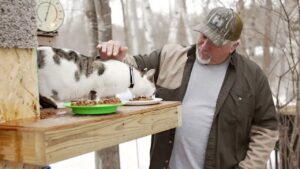 Minnesota Family Builds Heated Cat Condo for Strays