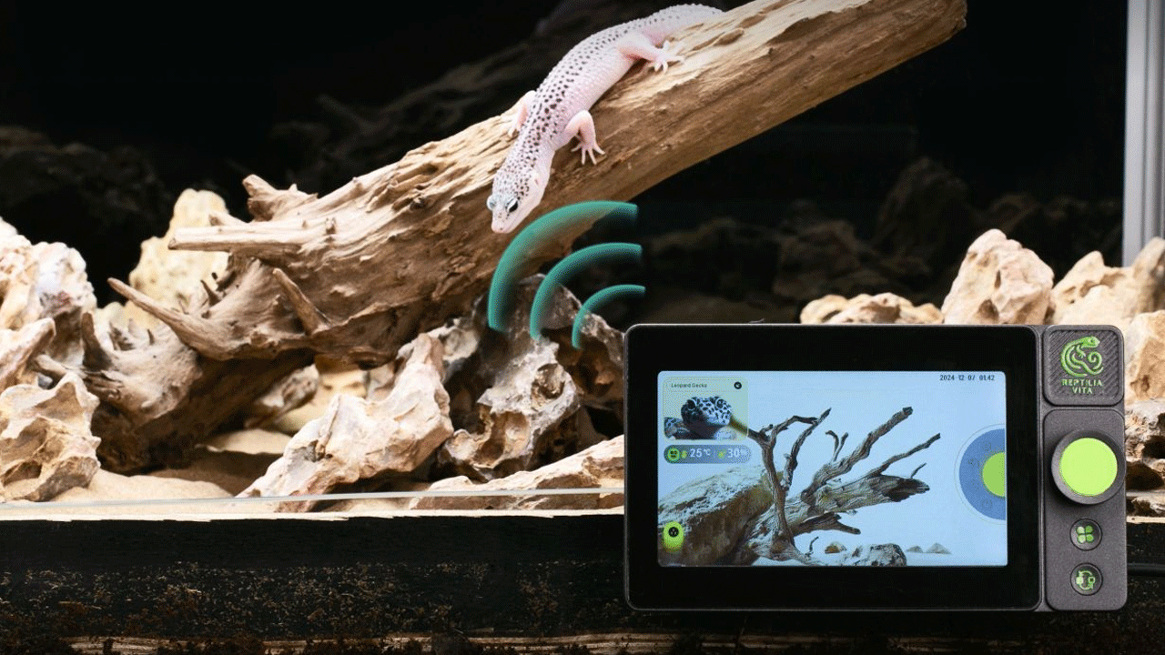 RT01 Habitat Controller for Reptiles