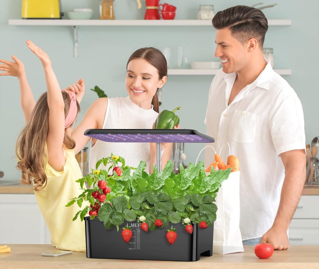 best smart hydroponic planter to buy from amazon